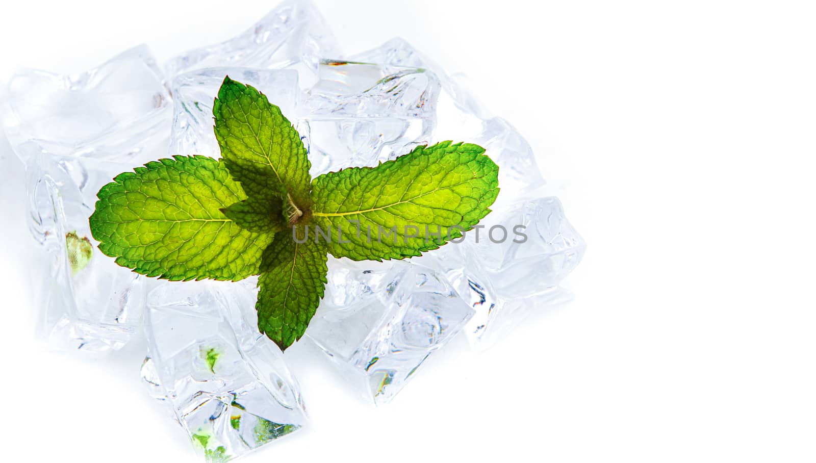 close up of mint leaf leaf on white background with ice