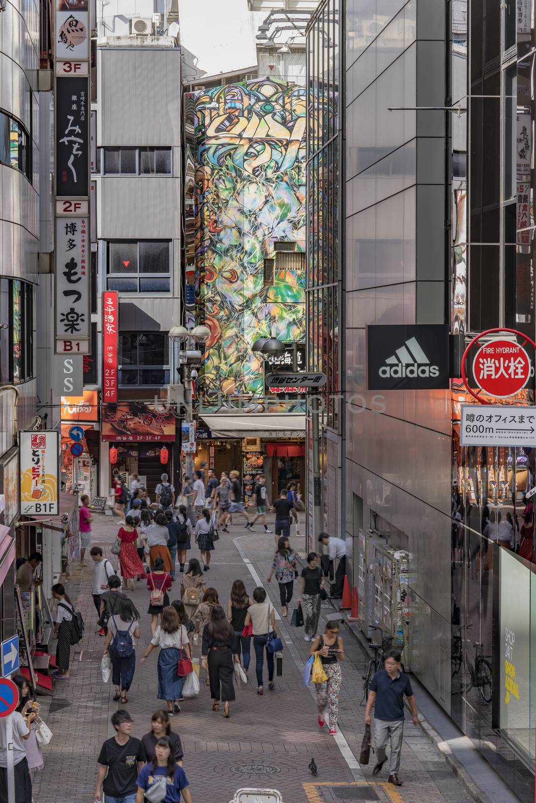 Shopping street leading to Shibuya Crossing Intersection by kuremo