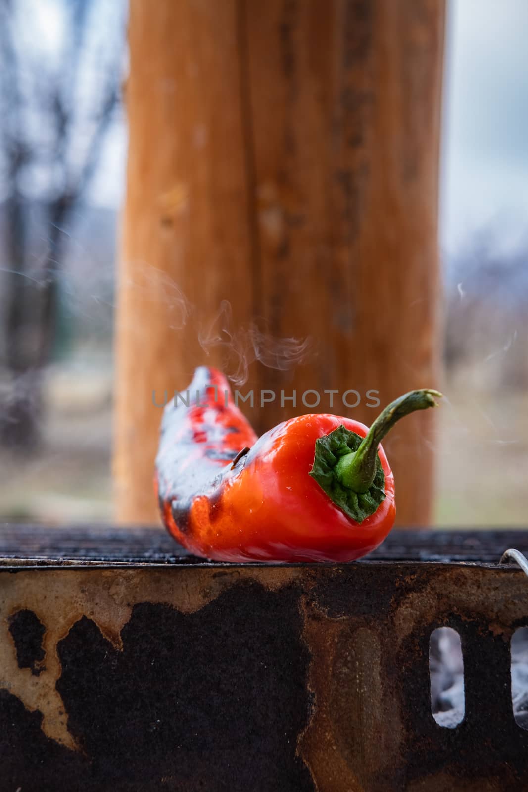 Red chili pepper grilling on BBQ