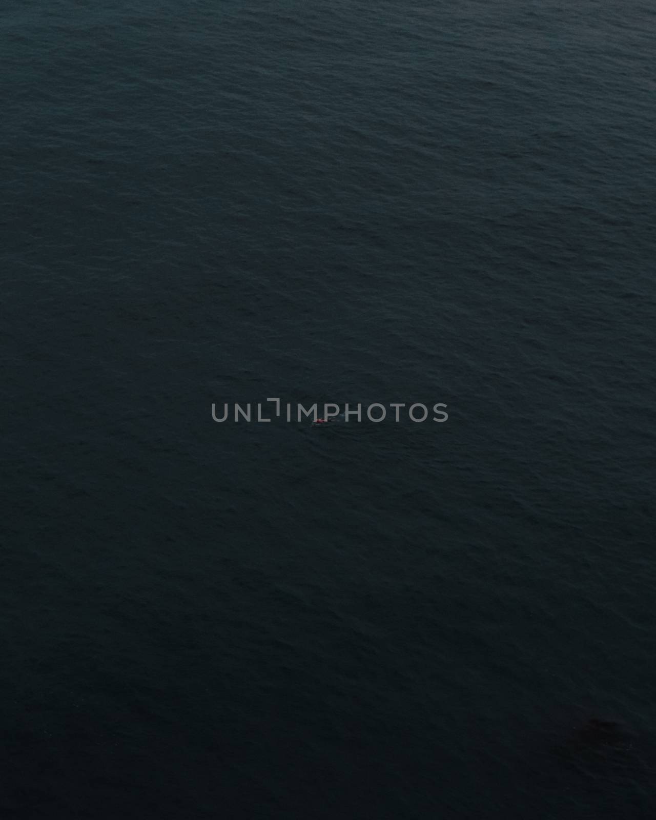 Aerial shot of a person swimming in sea alone.