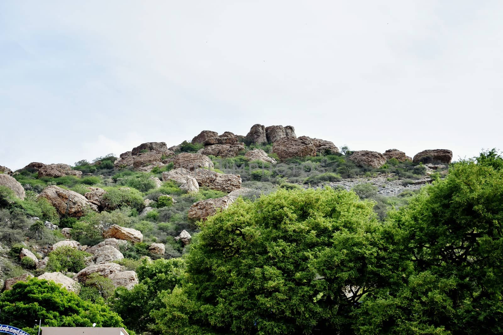 Landscape of Hill and Sky