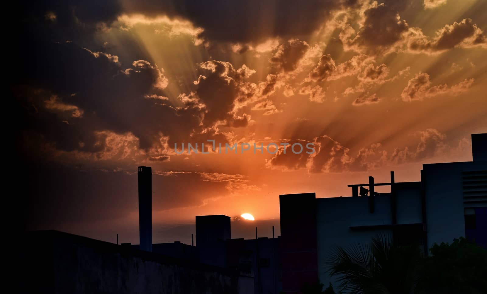 Beauty of Rising Sun by ravindrabhu165165@gmail.com