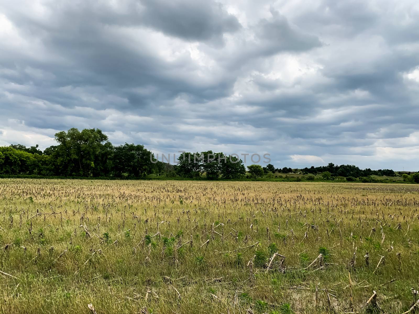 Blue cloudy sky over green landscape 