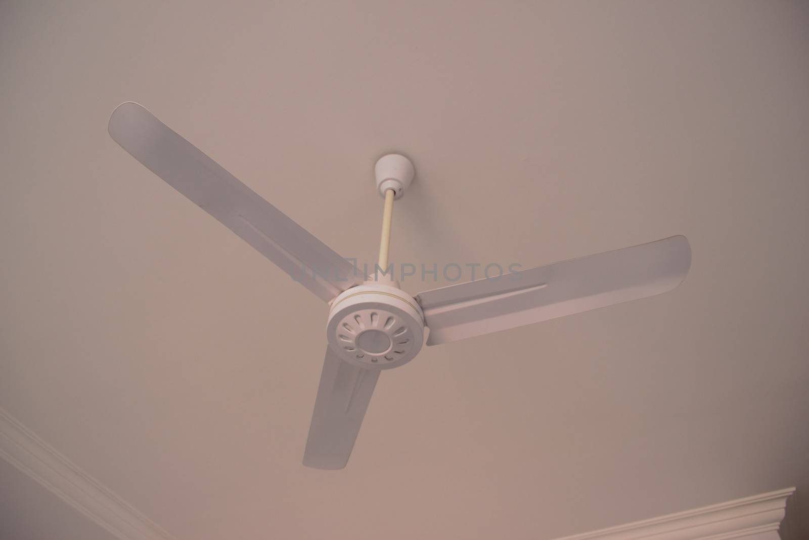 fan on the white ceiling