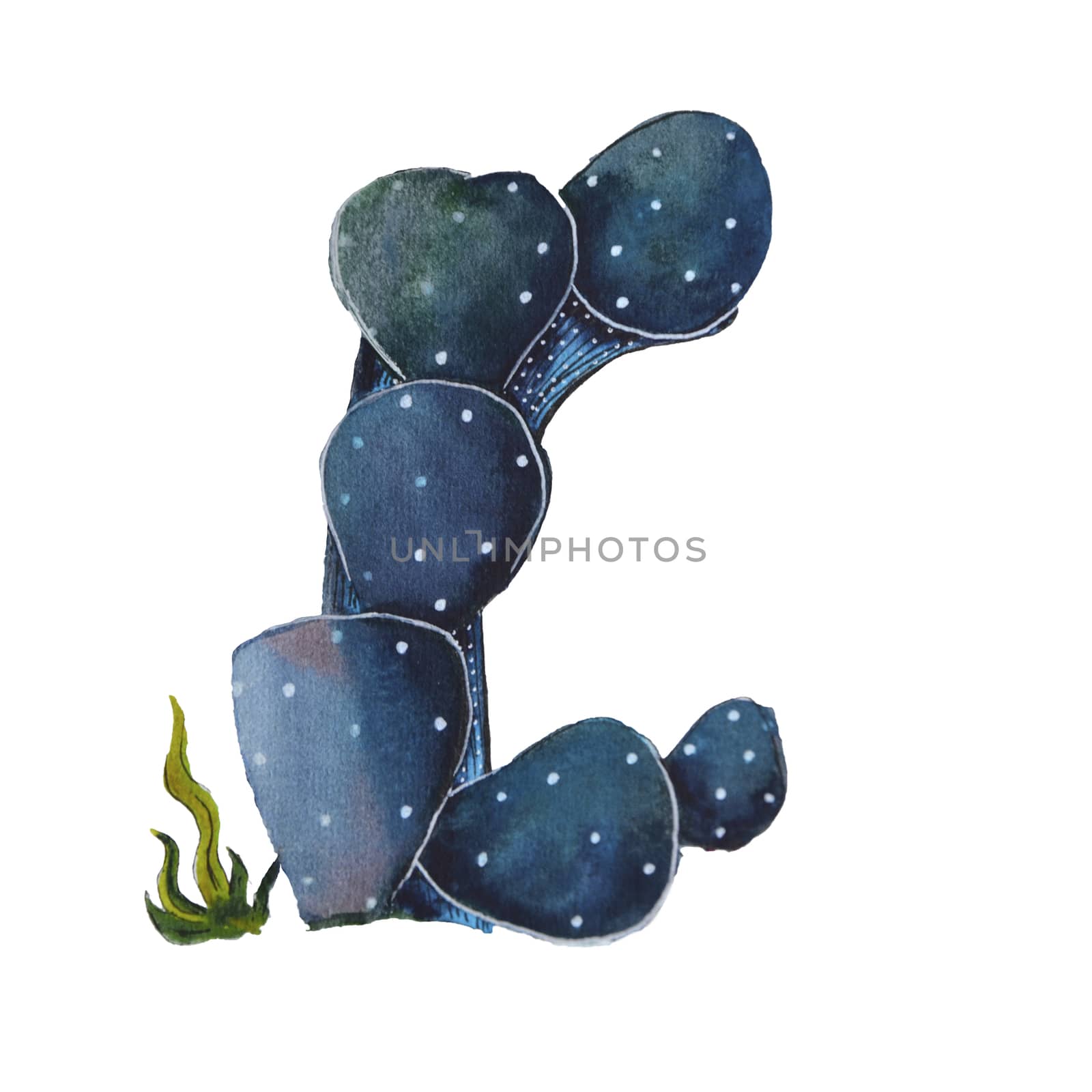 Letter C in the form of a cactus. Design element is perfect for logos, icons, children's alphabet and play.
