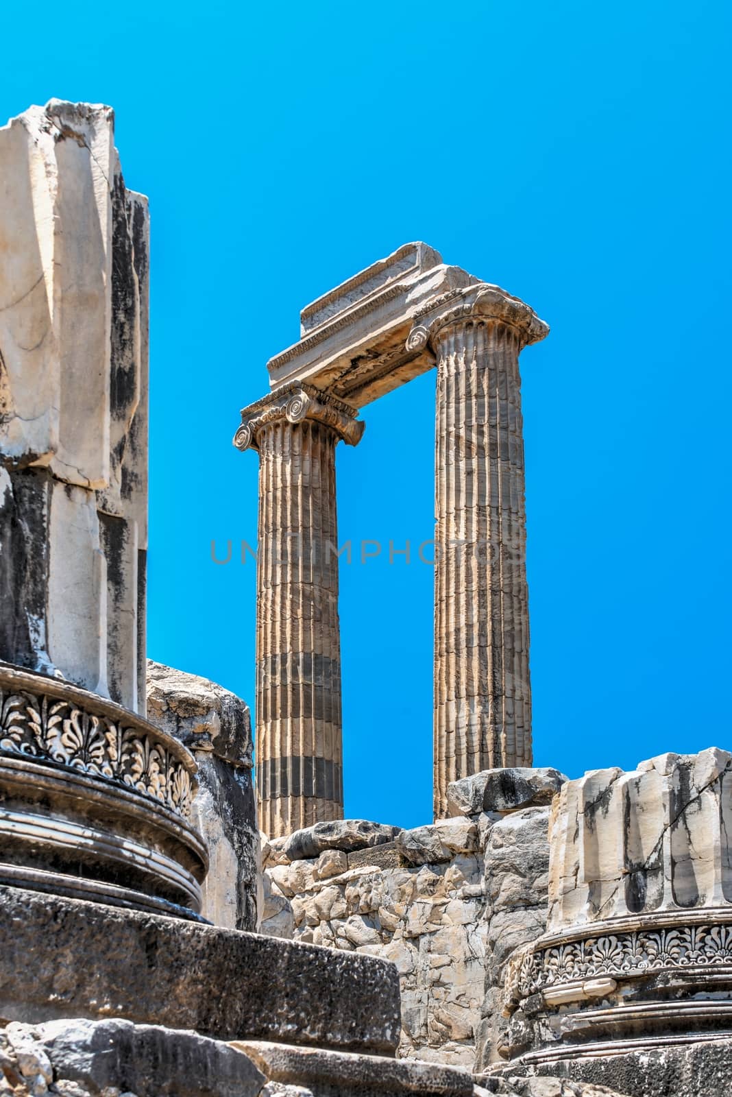 Ionic Columns in the Temple of Apollo at Didyma, Turkey by Multipedia