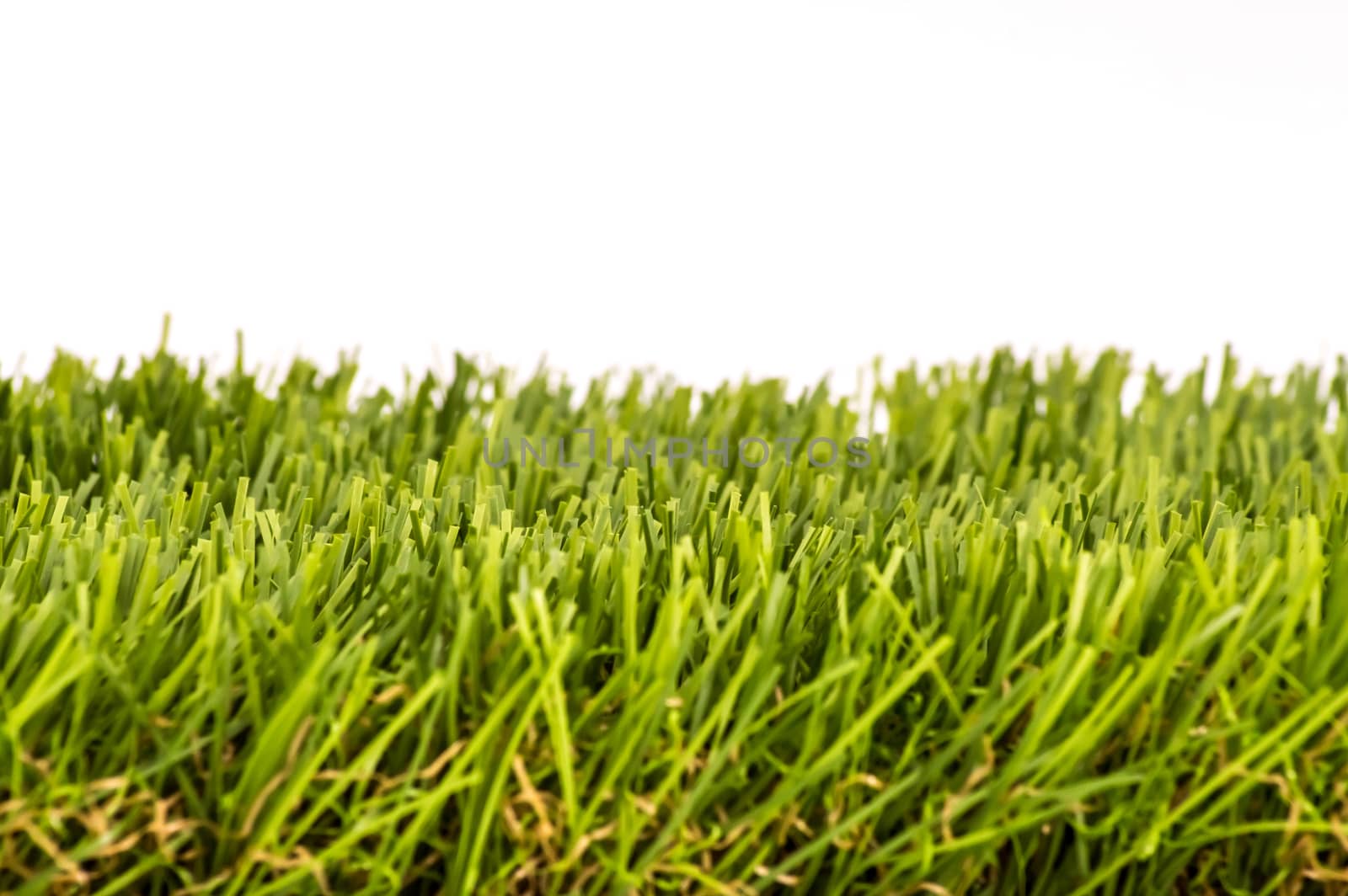 Fresh green grass isolated  by Philou1000