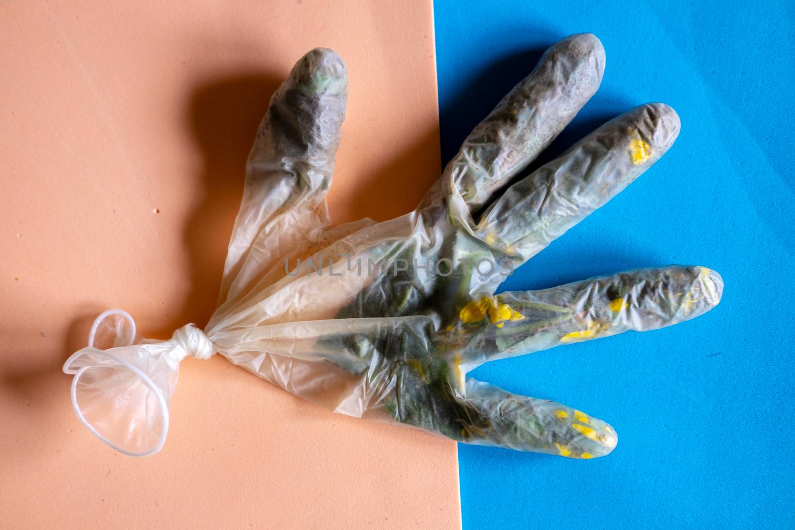 Blades of grass and yellow flowers inside a medical glove as a symbol of fighting coronavirus by mikelju