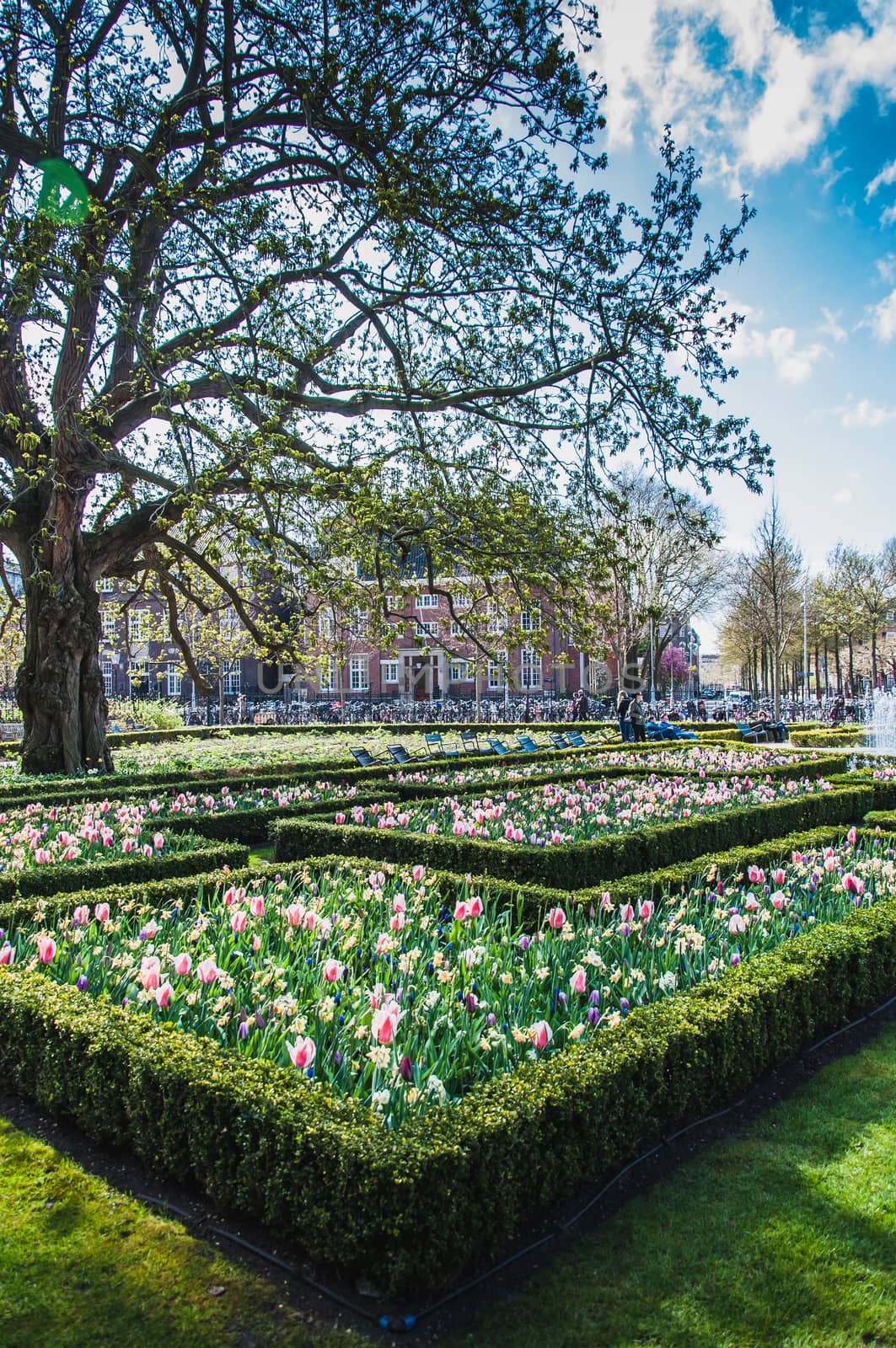 The Rijkmuseum and its gardens and its surroundings in Amsterdam in the Netherlands