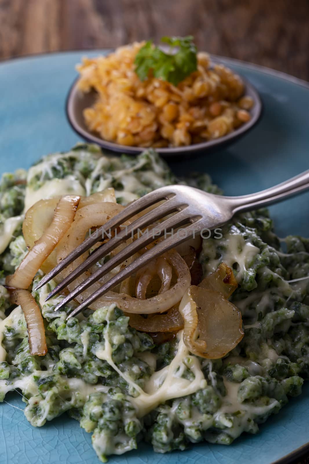 bavarian pasta with onions on a plate