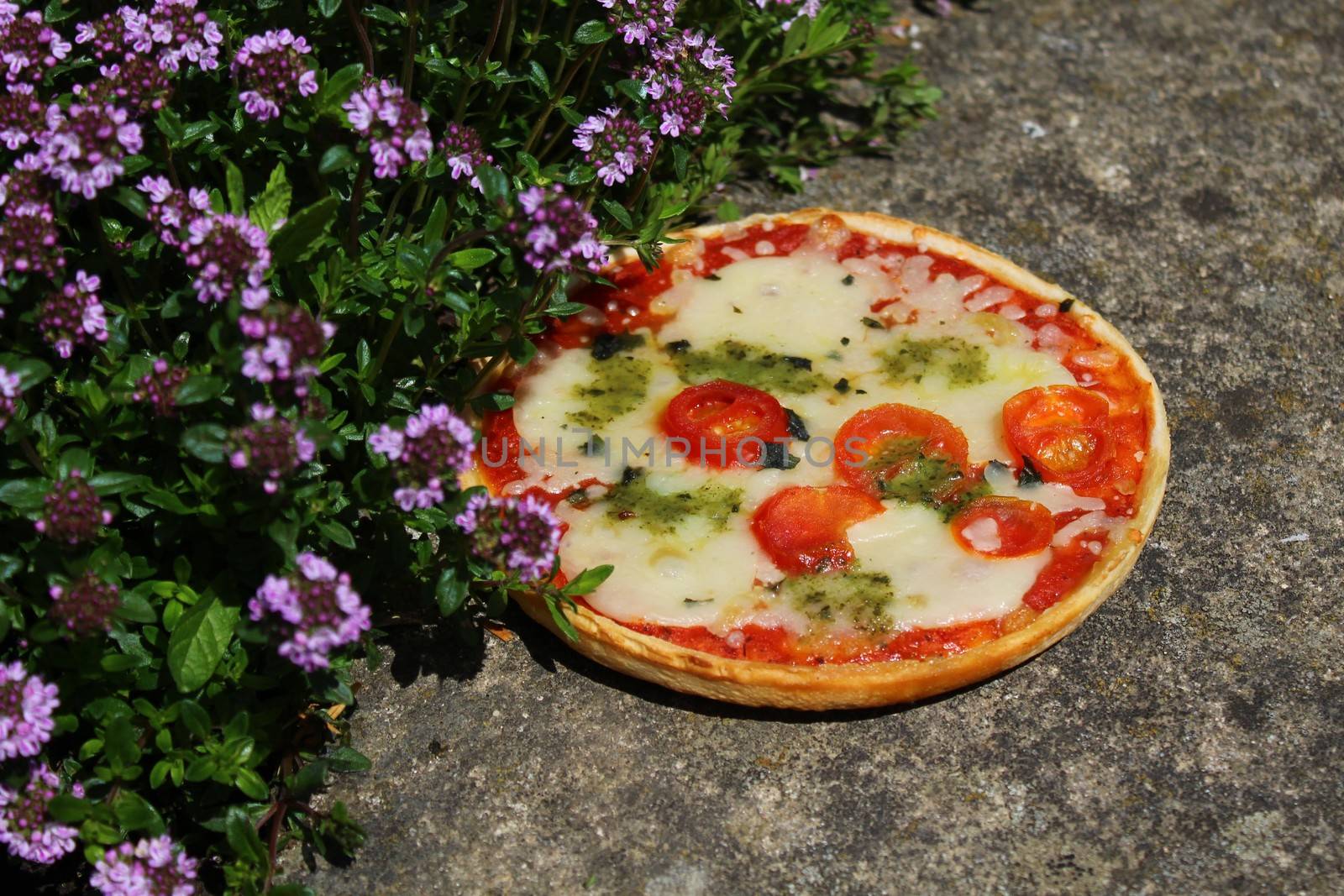 The picture shows a pizza on a thyme field