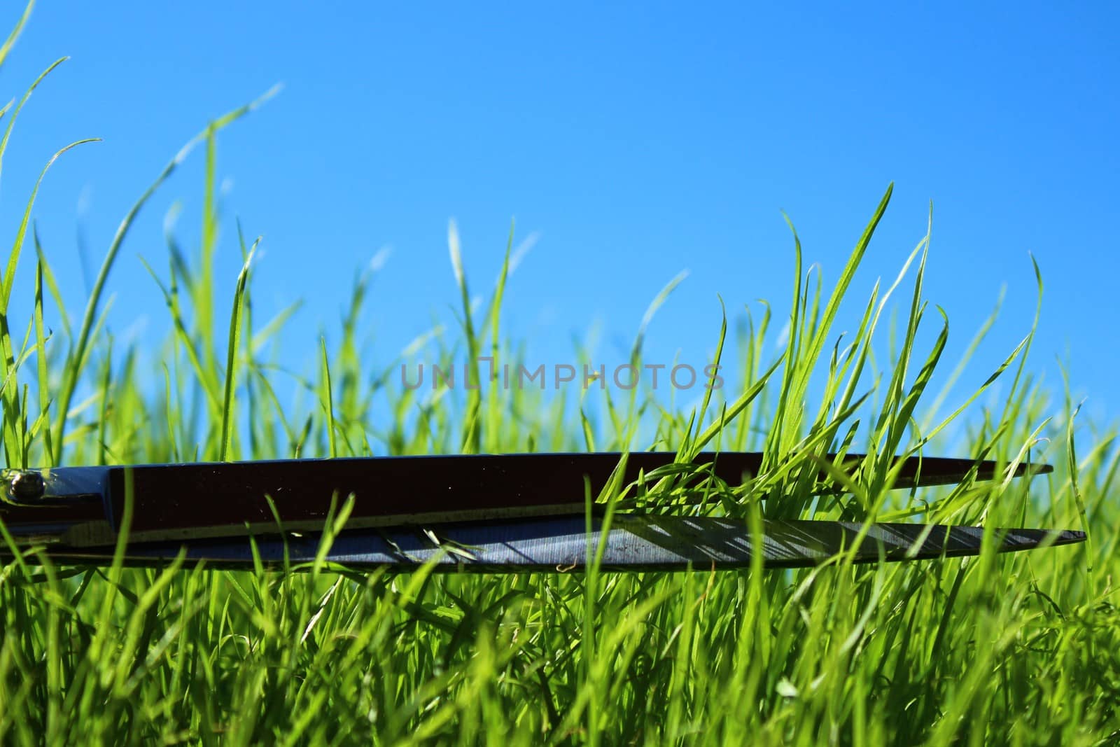 The picture shows grass and scissors in front of the blue sky