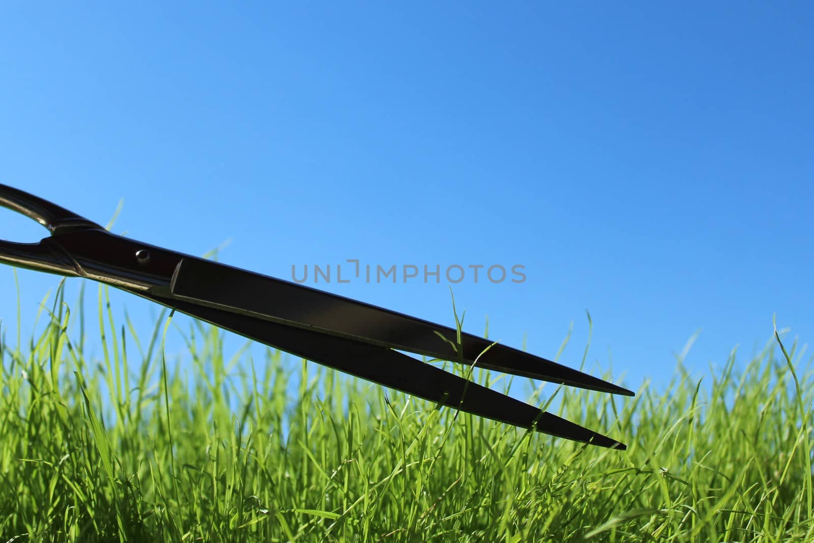 grass and scissors in front of the blue sky by martina_unbehauen