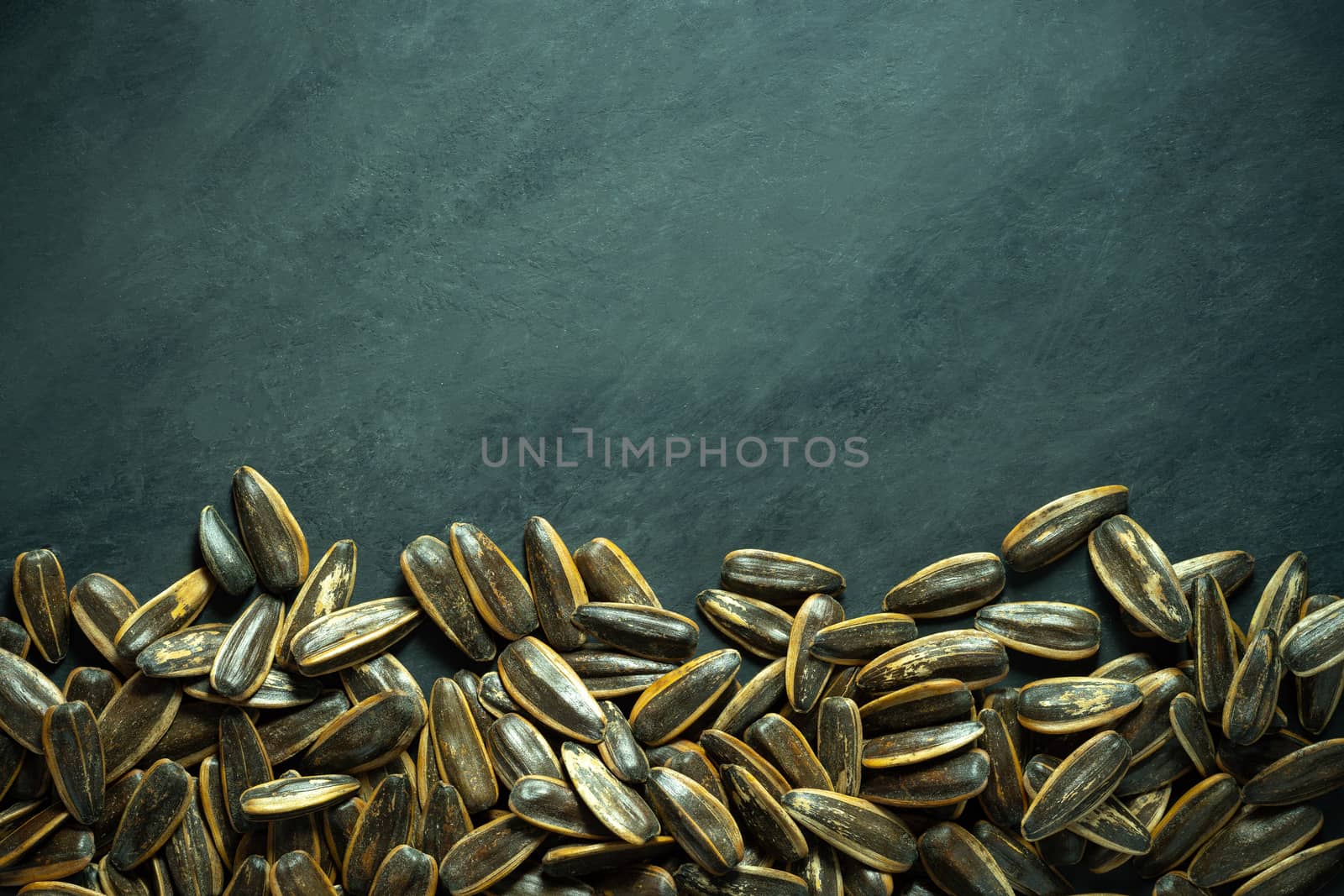 Sun flower seeds on black cement background. by SaitanSainam