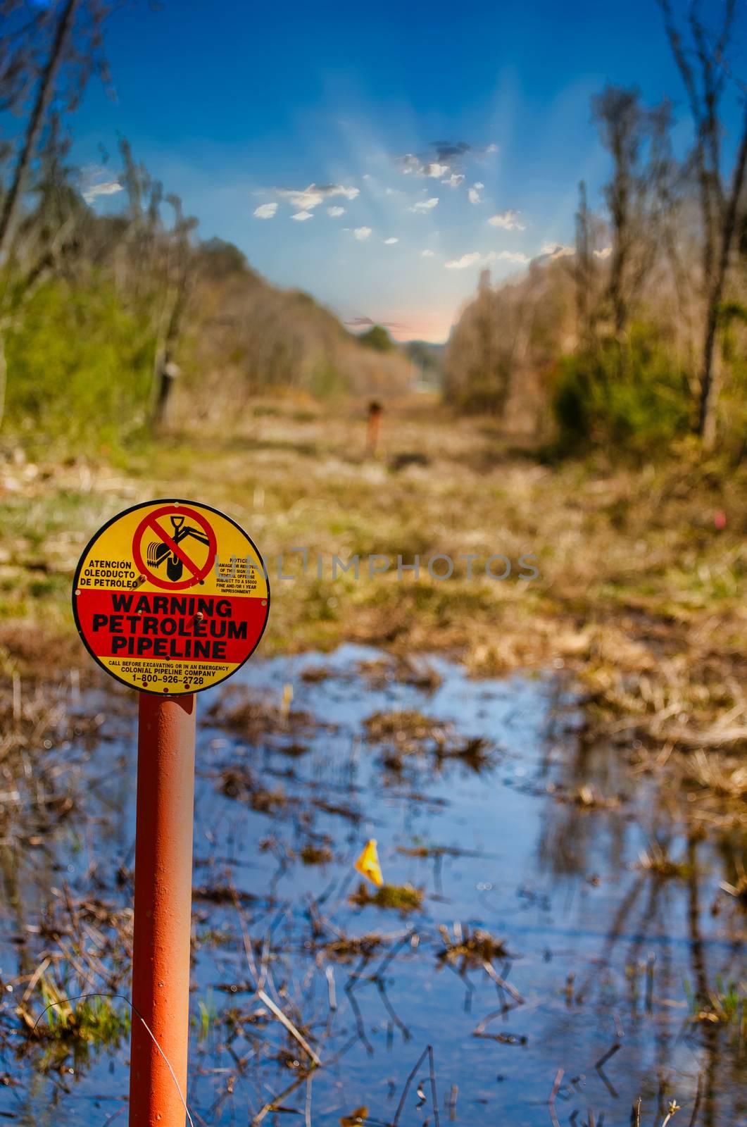 A petroleum pipeline easement running through a wetland marsh environment
