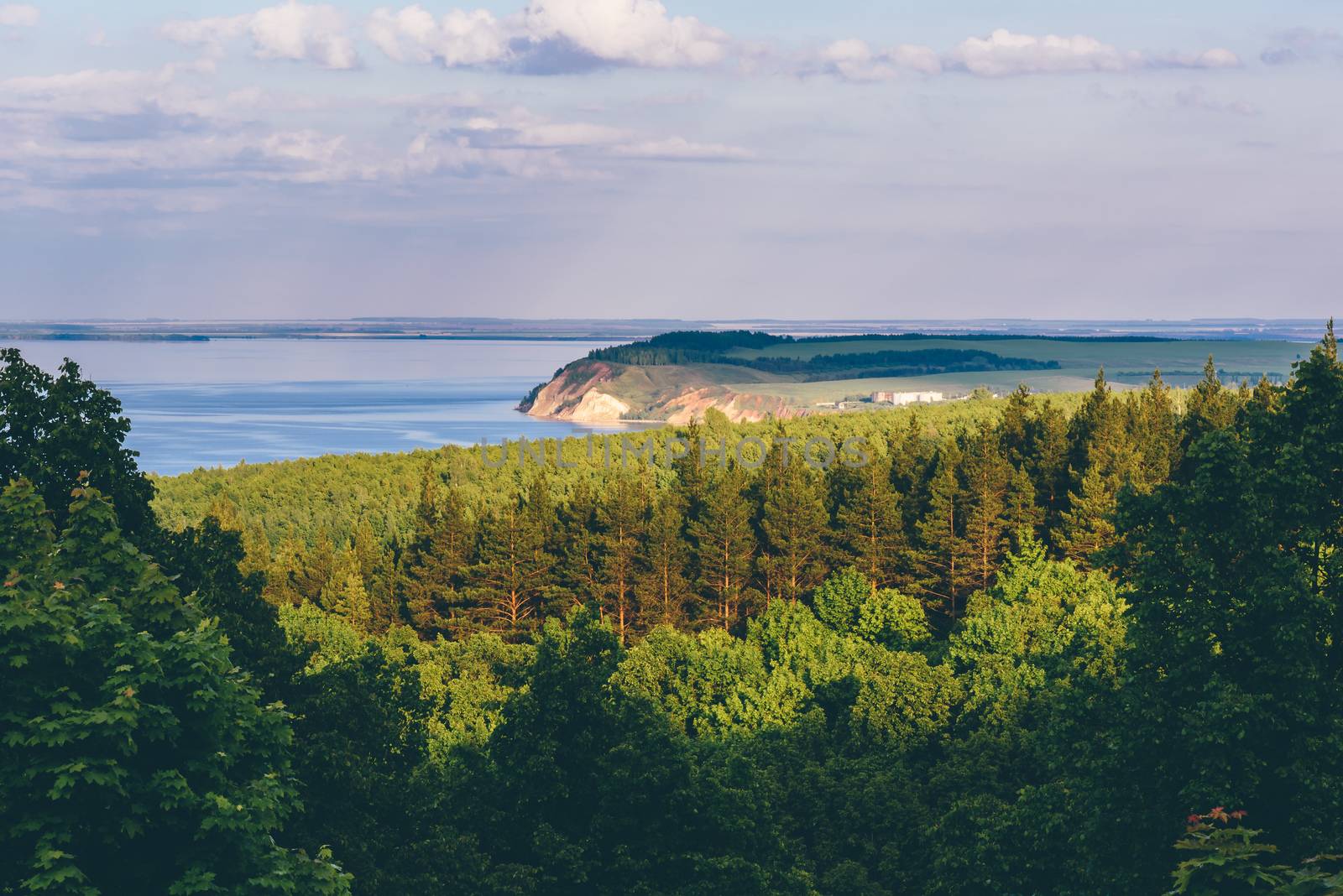 Sunset sunlight on the part of pine woodland and river with cliff on the background