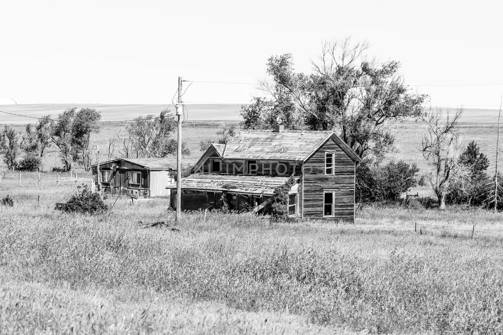 A old abandon house in a field black and white  by gena_wells