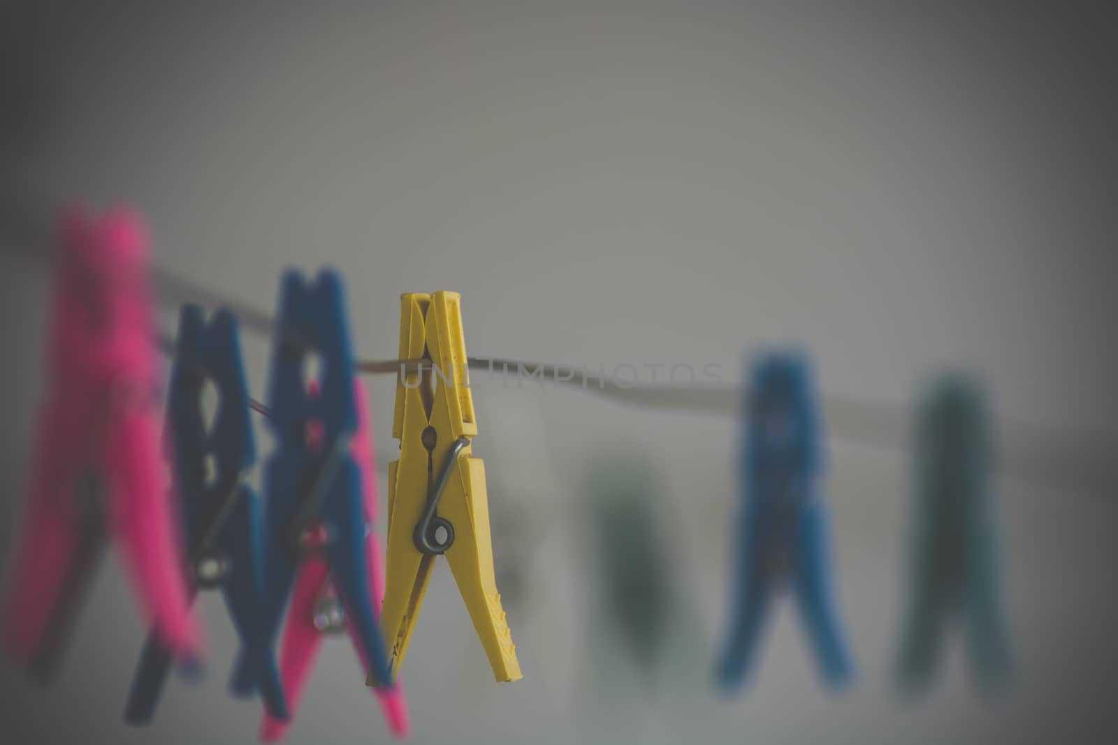 Many pegs for laundry bundled together with the yellow peg on focus.