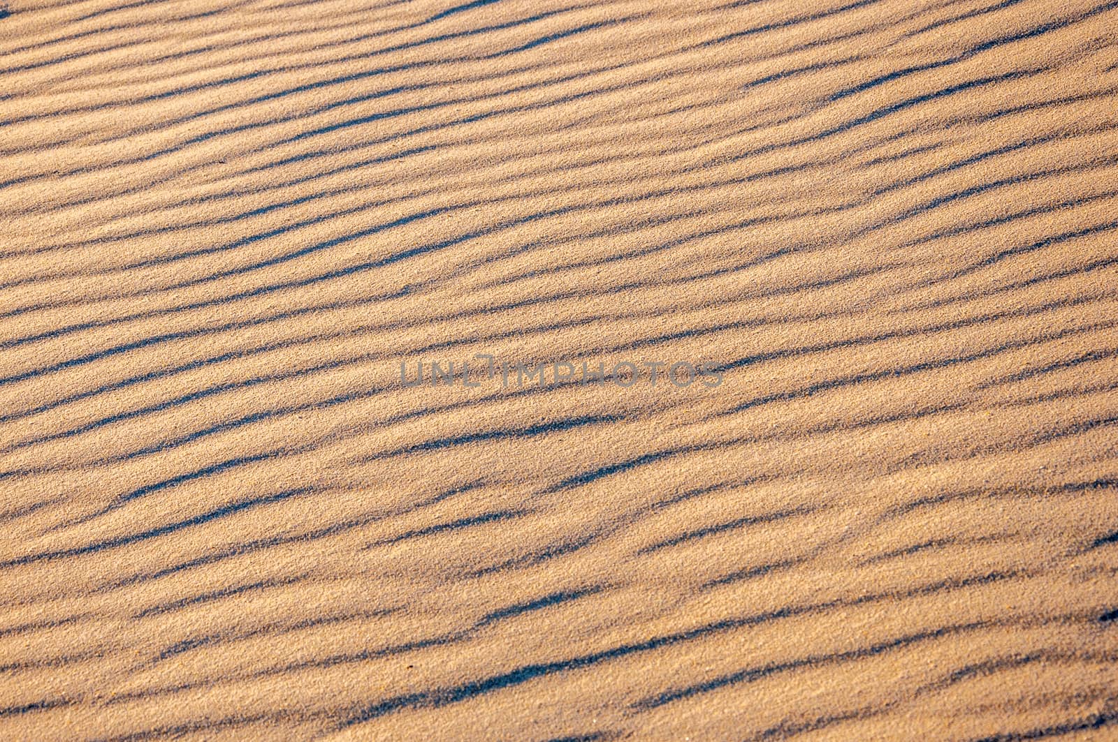 setting sun on the pillat dune in the Arcachon basin, France