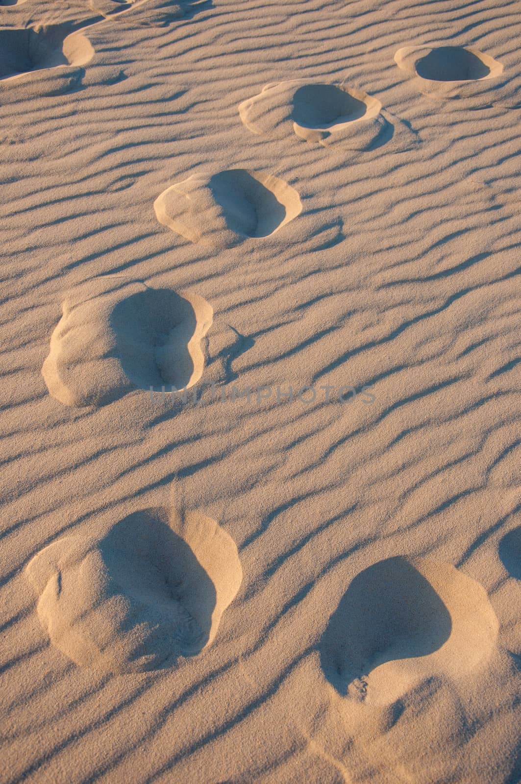 setting sun on the pillat dune in the Arcachon basin, France