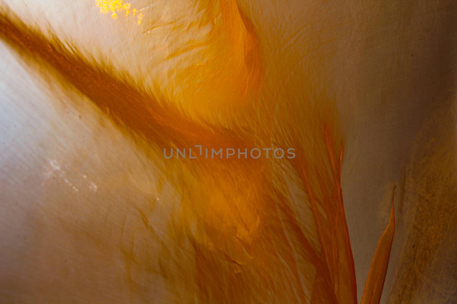 Orange back ground for various designs with copy space
