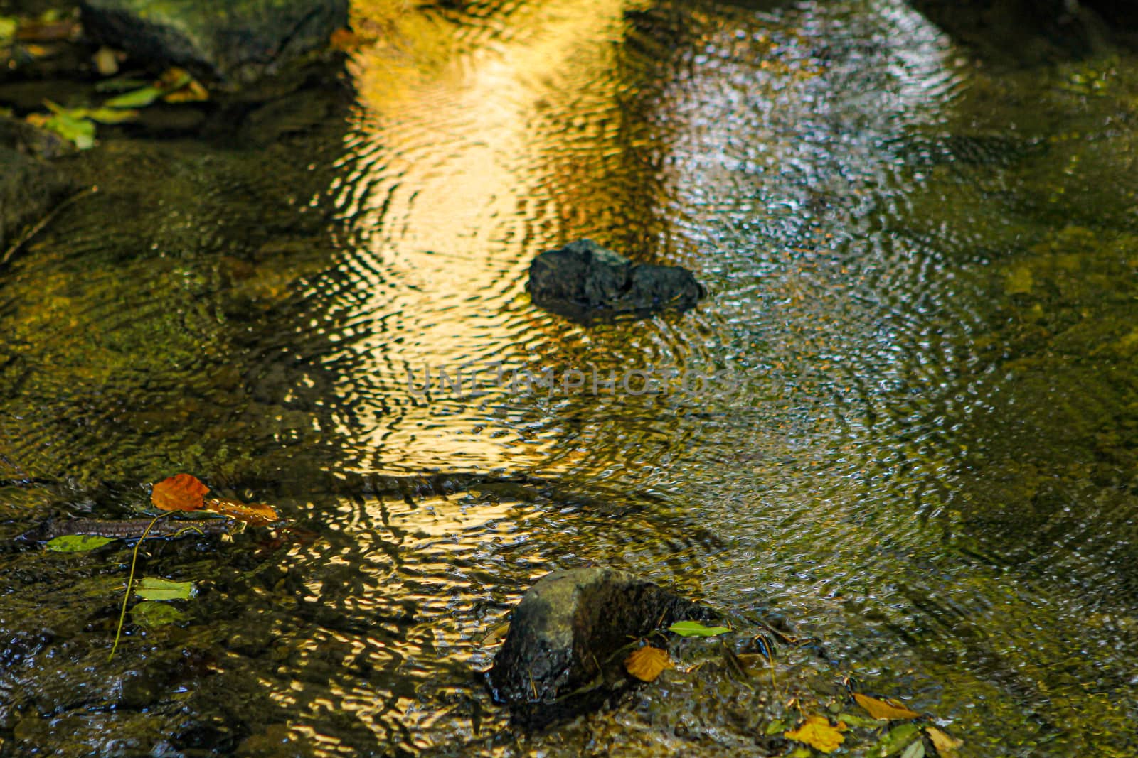 water with sun reflection with circles with rings in water