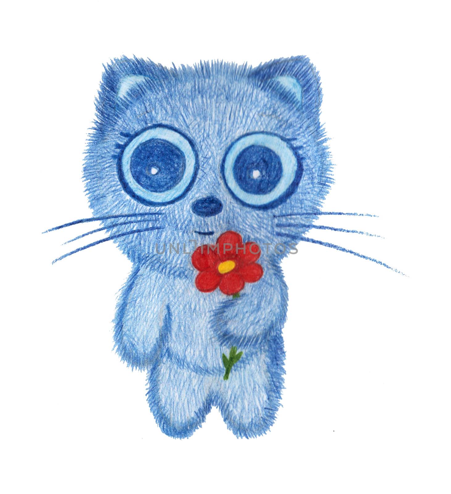 Cat with red flower drawn with colored pencils. Hand-drawn cute kid illustration. Card with blue cat with big eyes on white background for prints.