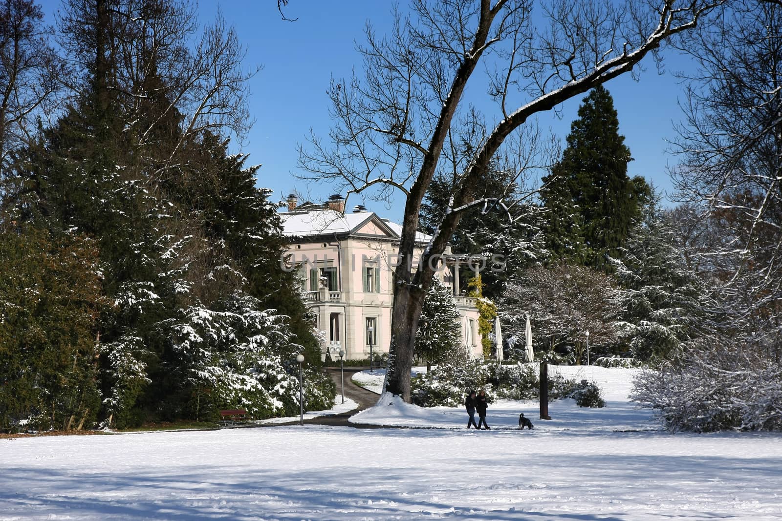 public park with church in Cham, Switzerland with tree and snow
