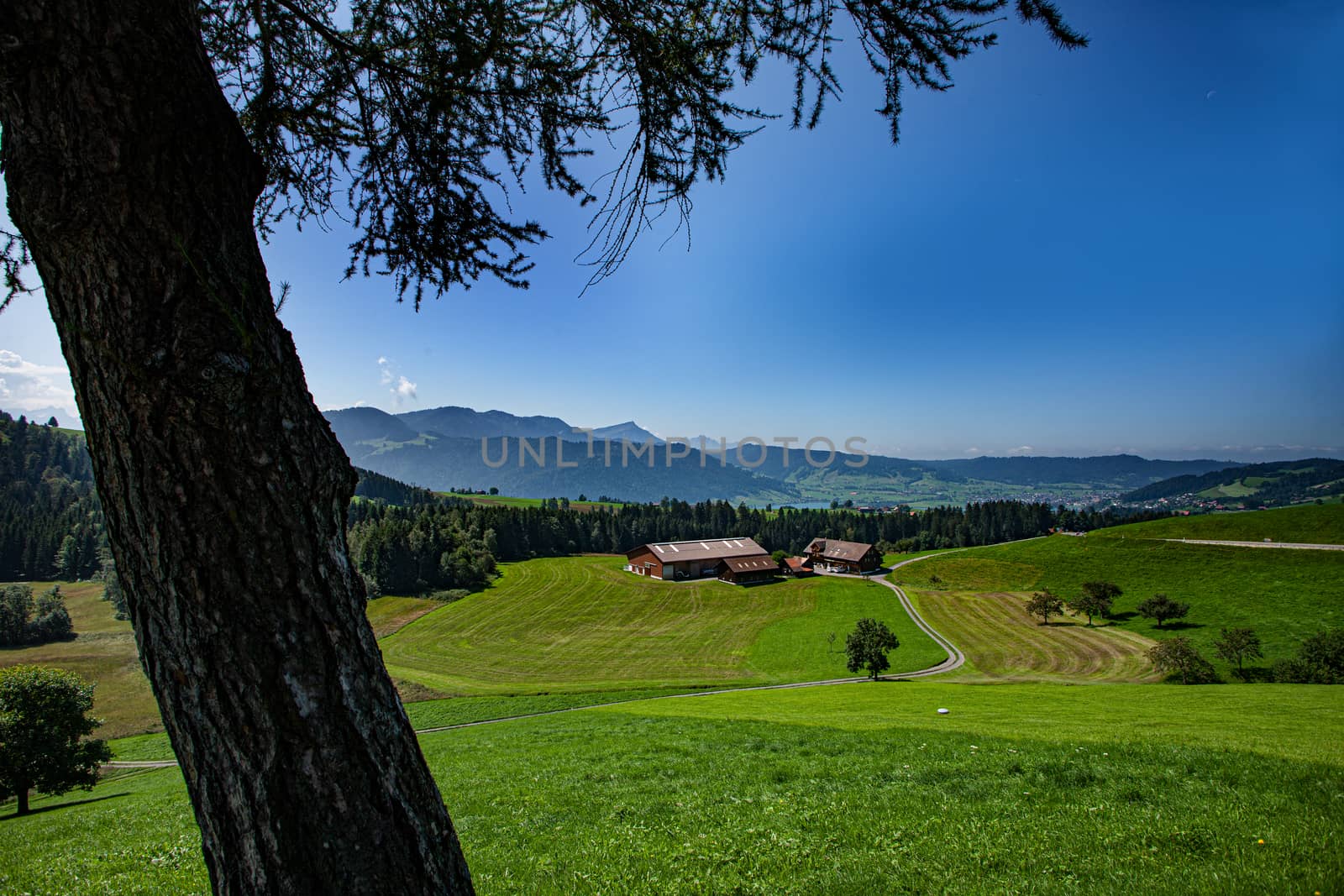 panoramic view of the swiss valley, aegerital. with tree, grass and blue sky