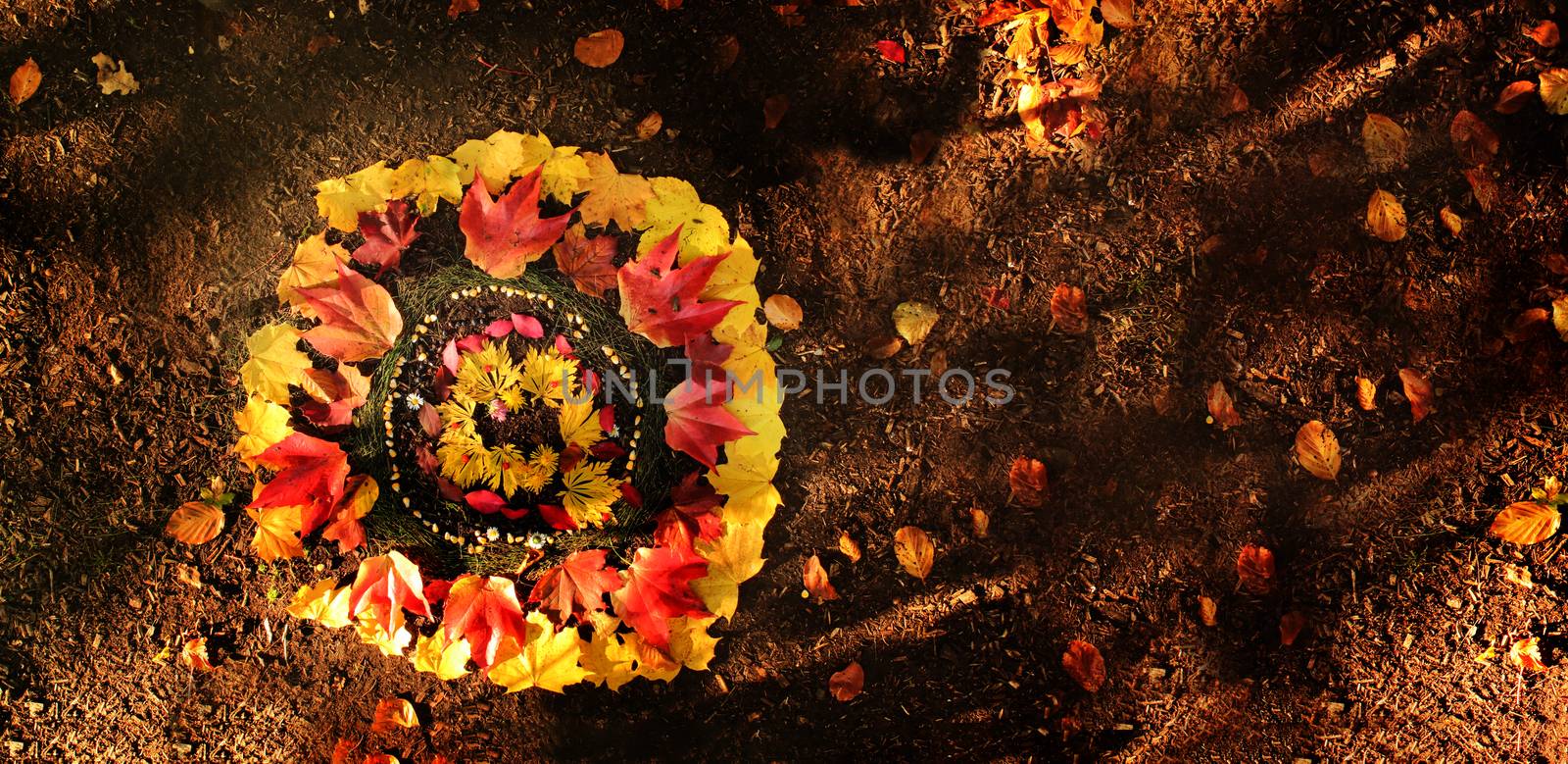 Local kids did a design in the forrest with colored leaves