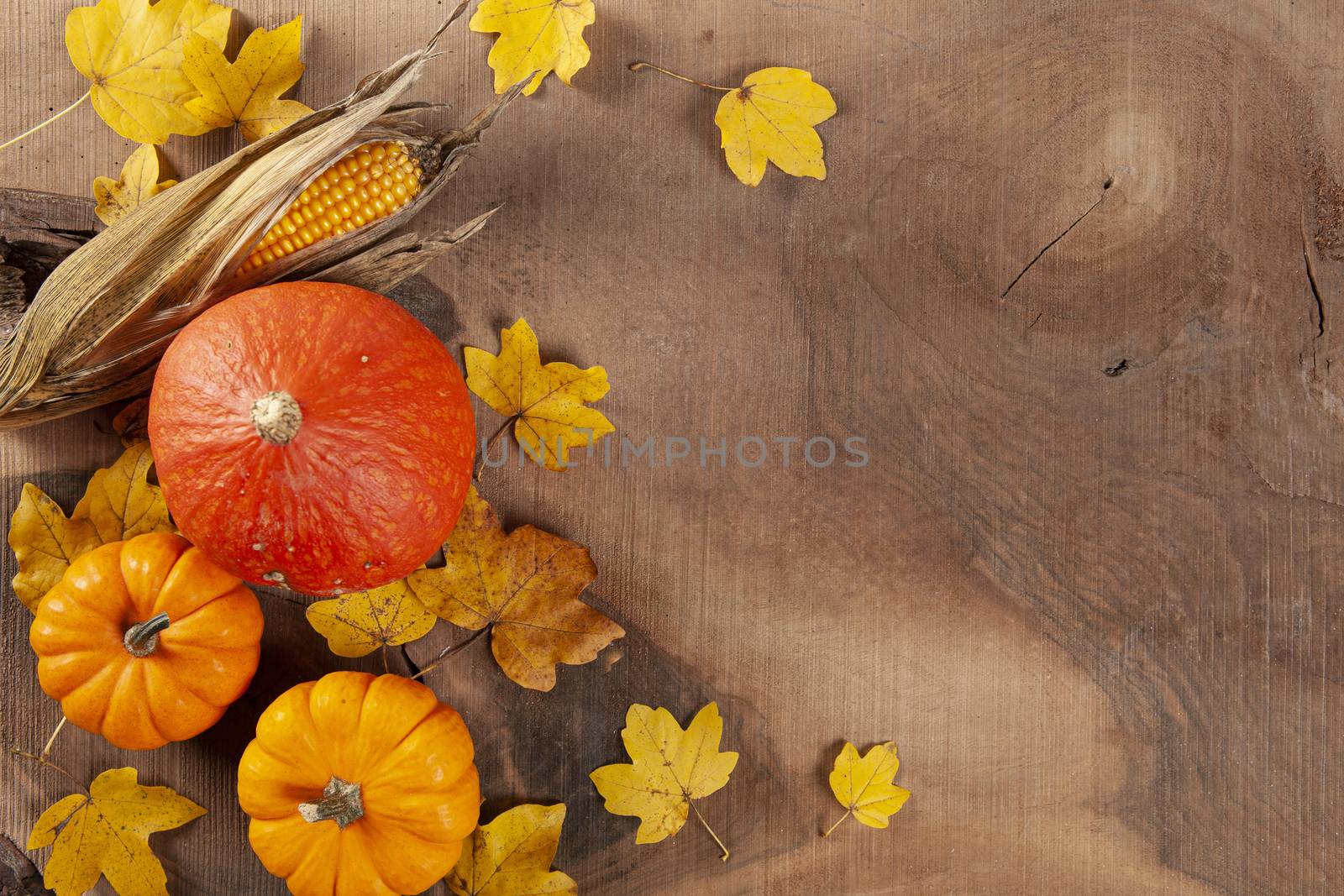 thanks giving setting with leafs and pumpkins on a wooden background shot from above