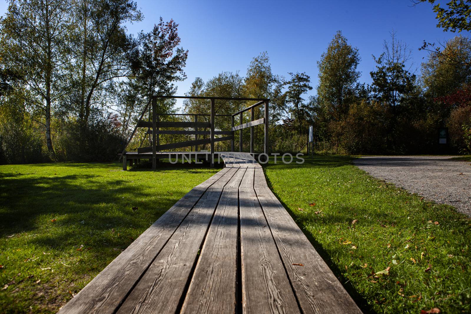 old wooden bridge in nature with converging lines leading into the horizon. With green grass and trees