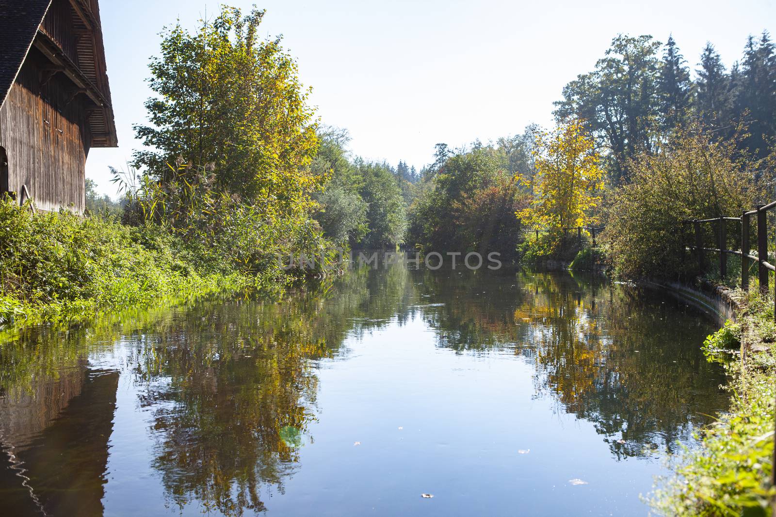 calm river in green countryside in Switzerland with trees and blue sky