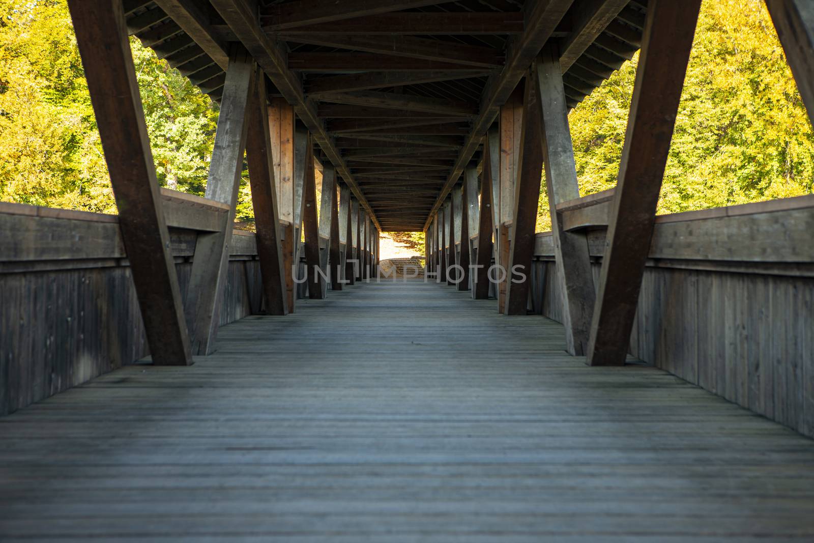 old wooden bridge in nature with converging lines leading into the horizon