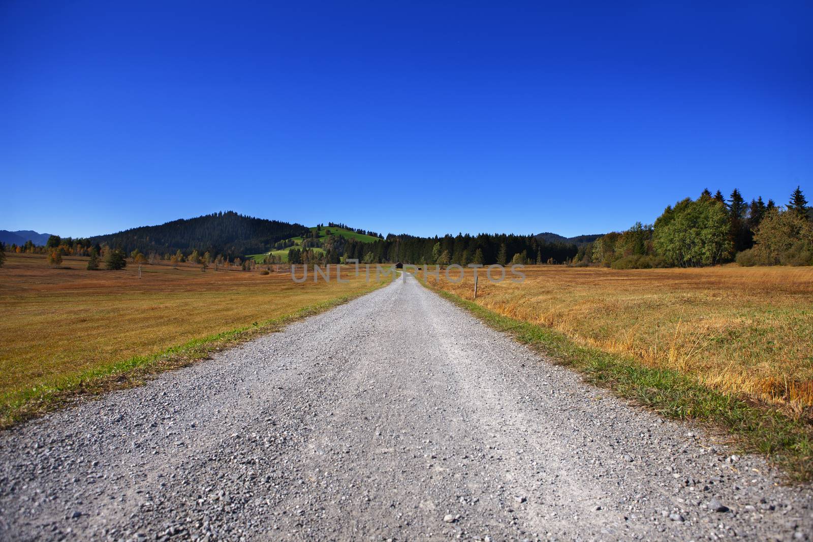 dirt road leading going into horizon in a flat spot in Switzerland
