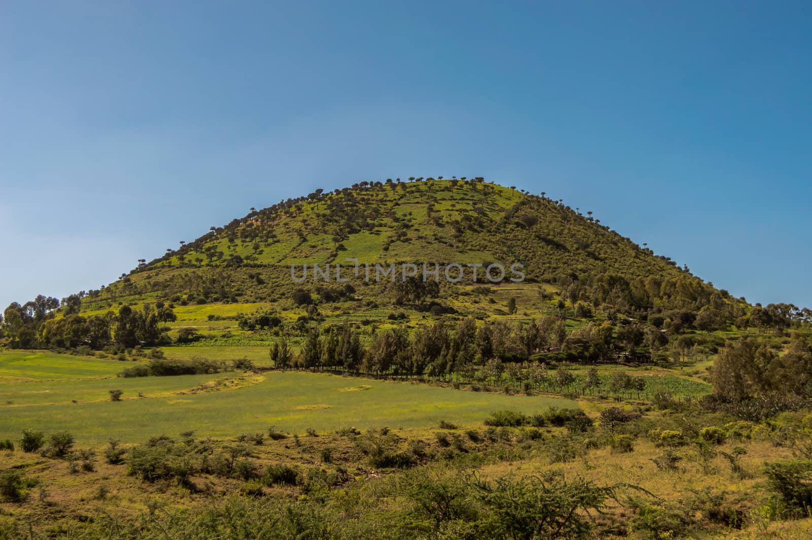 Wooded hill in the shape of a half sphere in central Kenya