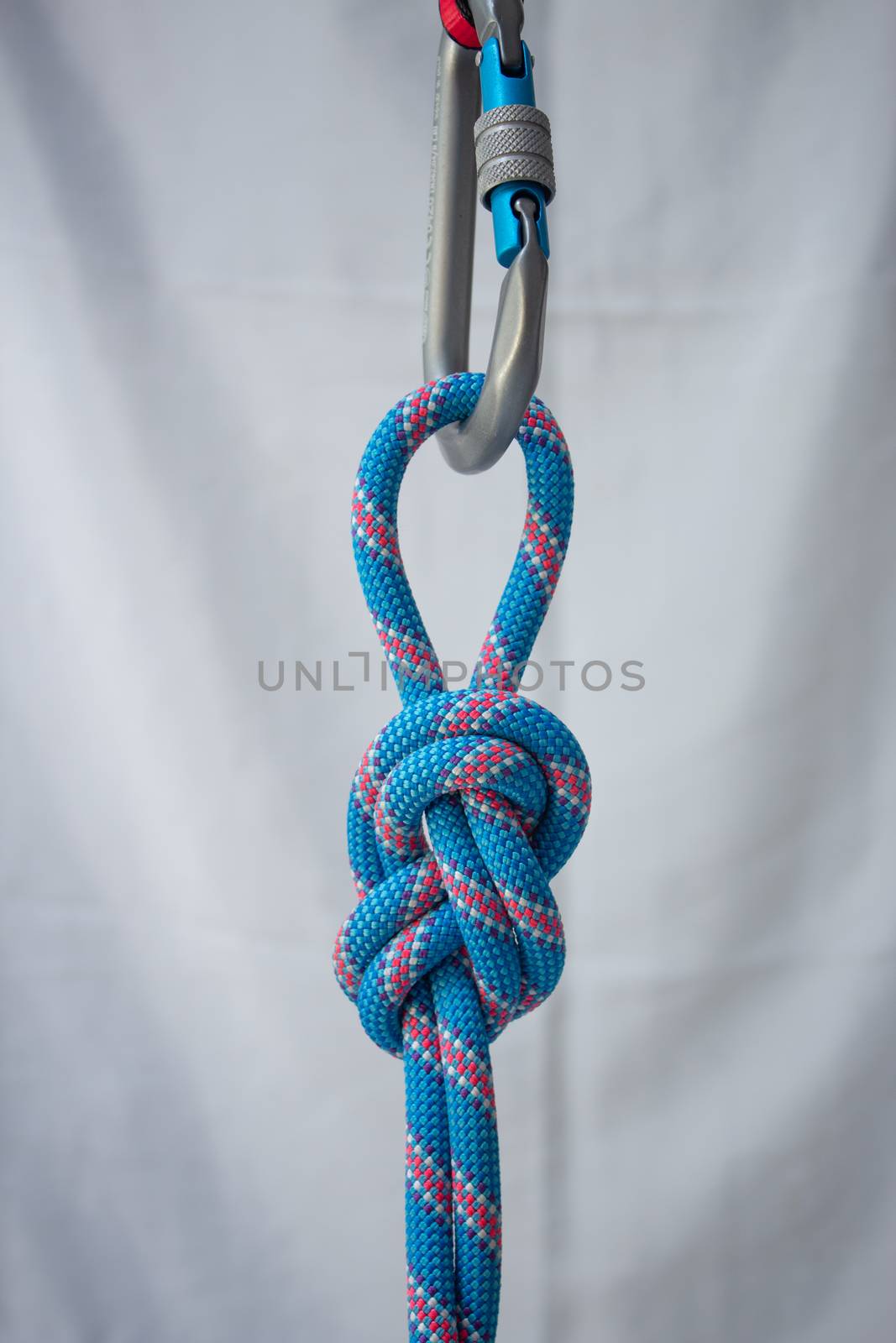 Figure eight on a bight tied with a climbing rope to a pear shaped locking carabiner