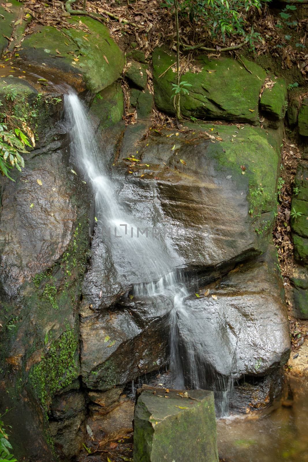 Thin waterfall at a trail located on Tijuca Forest, Rio de Janeiro