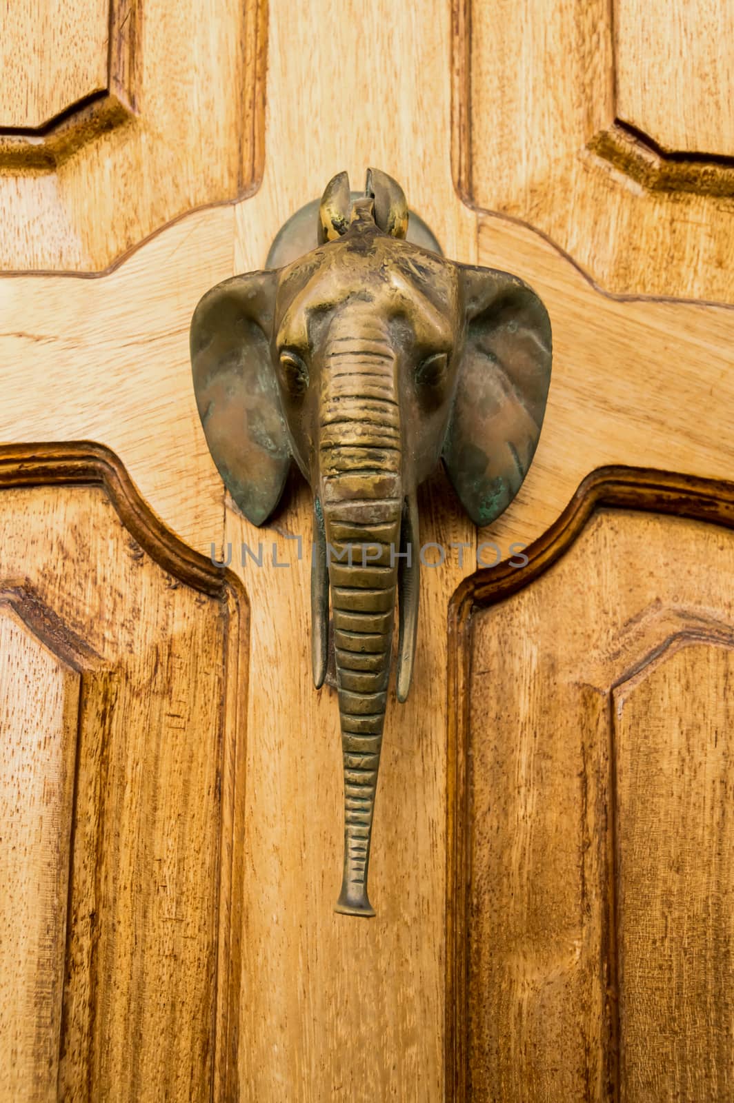 Vintage bronze elephant head knocker on wooden door, Victoria, Gozo, Malta
