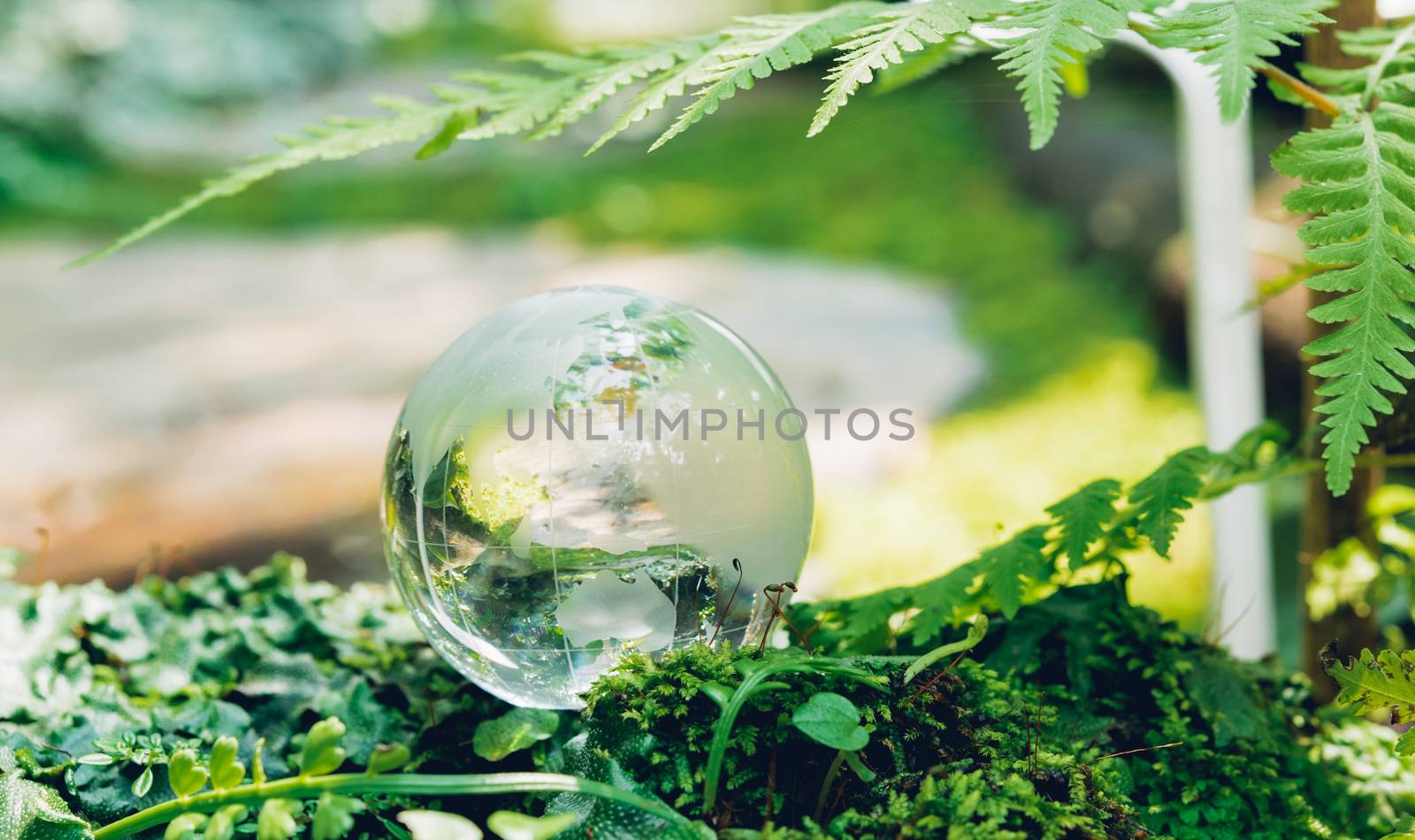 Globe glass in grass forest on nature background, Environment Day Concept