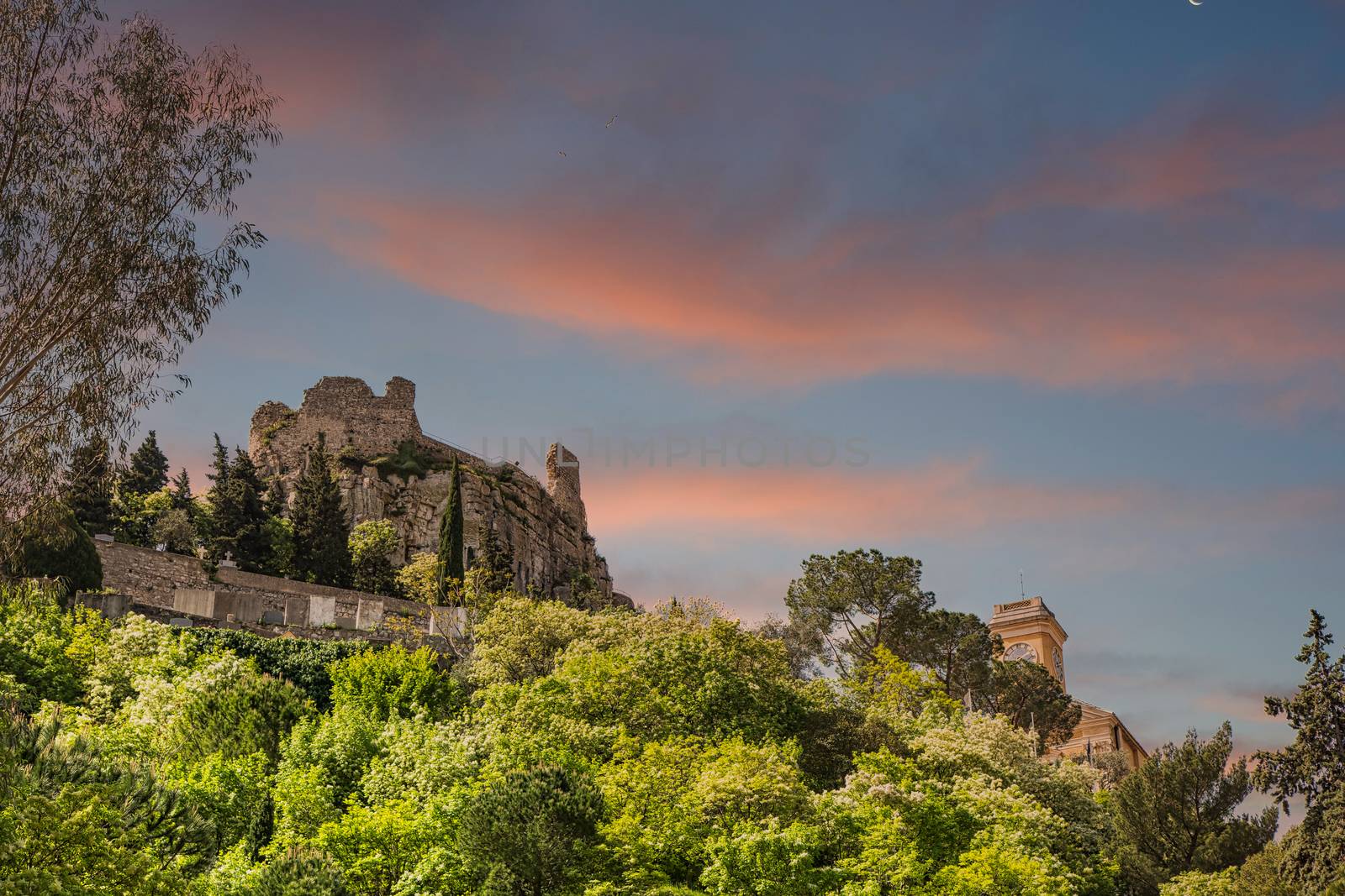 Old Buildings in Eze Rising from Treetops by dbvirago