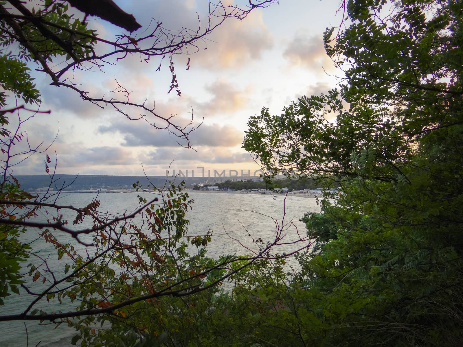 An outstanding landscape with tree branches and the sea coming through. by justbrotography