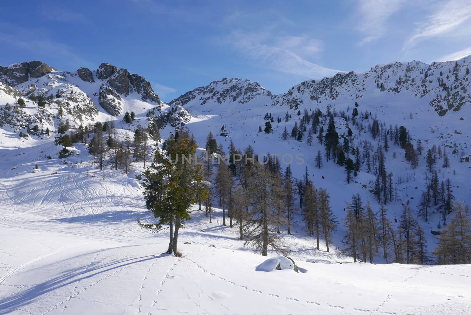 snowy landscape of Montgenvre in the high Alps in winter, france