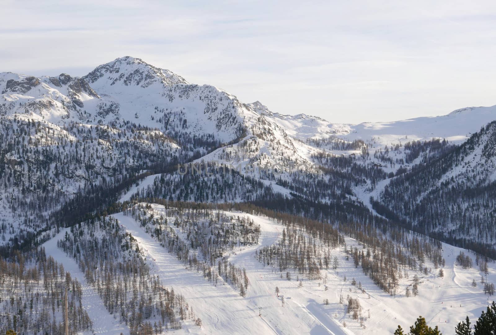 snowy landscape of Montgenvre in the high Alps in winter, france