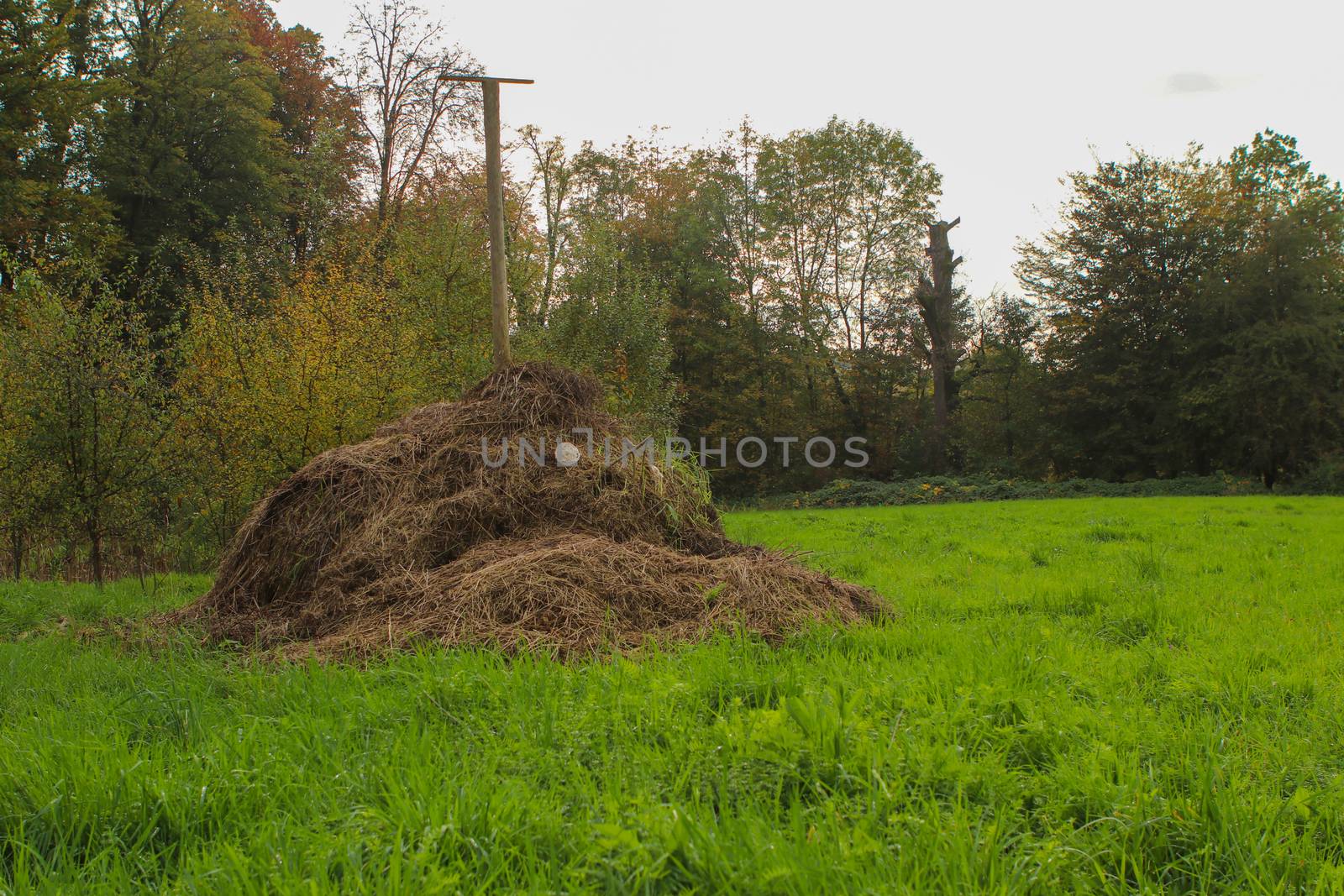 composting in filed to gain organic fertilizer. with trees and grass