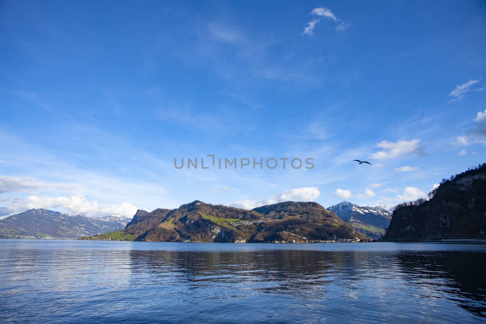 lake lucerne with Rig with clue sky and clouds with trees