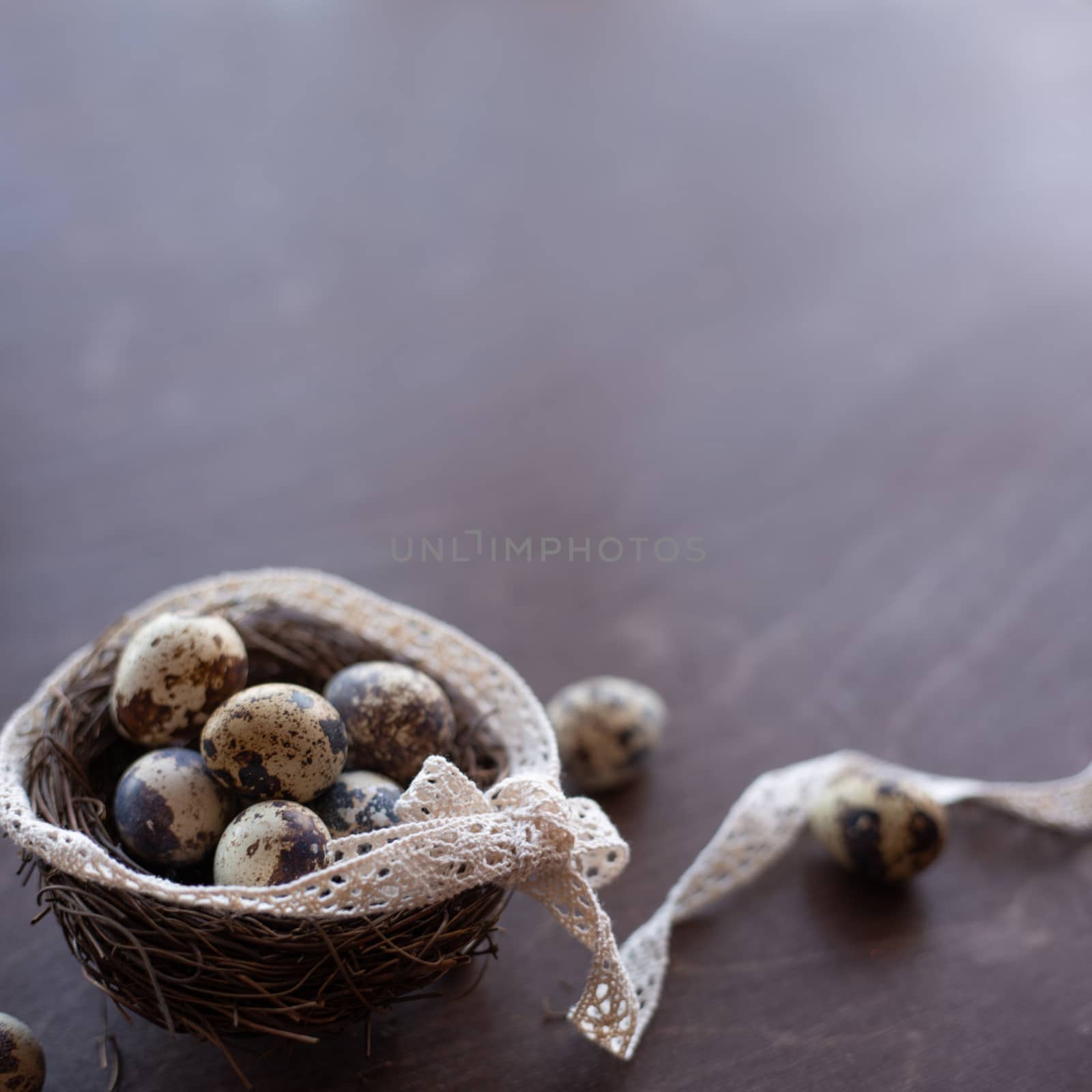 Quail eggs and feathers in nest on dark wooden background with copy space , easter eggs, easter nest concept