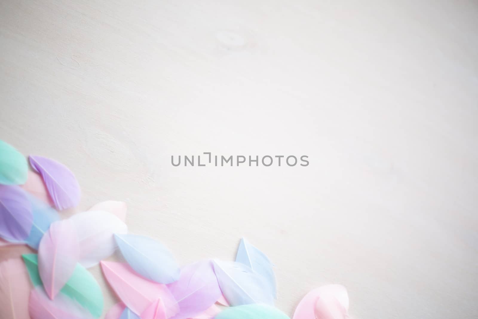 Coral Pink blue green pastel colored color trends feather texture background easter holiday softness concept