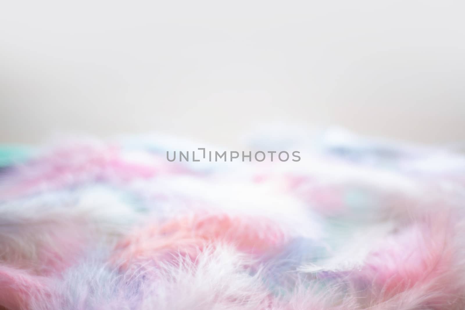 Coral Pink blue green pastel colored color trends feather texture background easter holiday softness concept