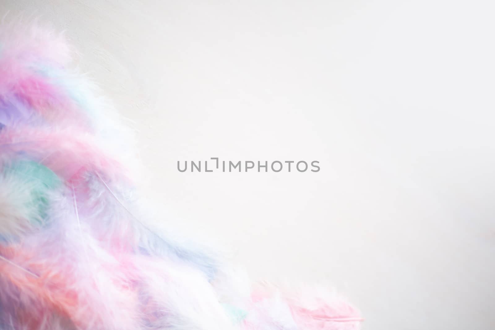 Coral Pink blue green pastel colored color trends feather texture background easter holiday softness concept